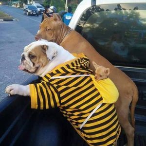 Meet your Posher, Alejandro